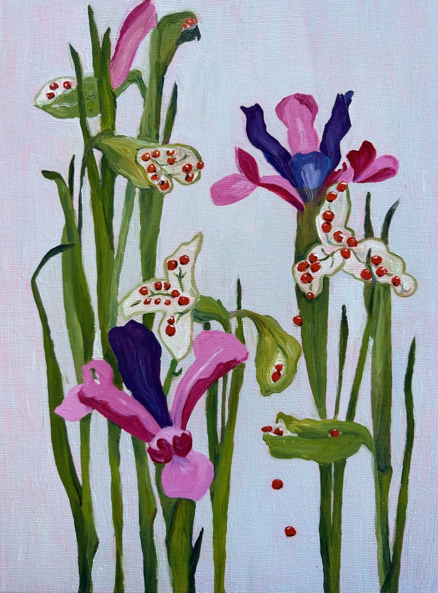Impressionistic Botanical Oil Painting By Irina Anis, 12 X 16, Rise Of Irises, Original Artwork