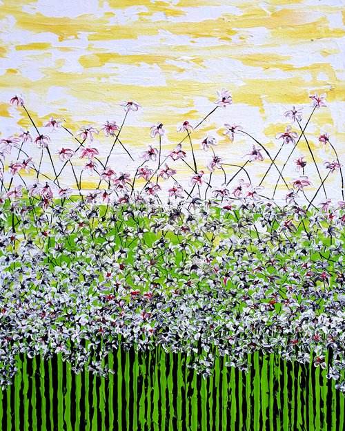 Daisy magic meadow by Daniel Urbaník