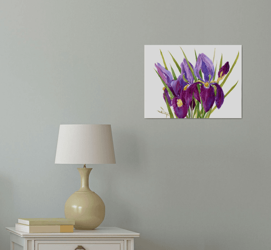 Iris Flowers