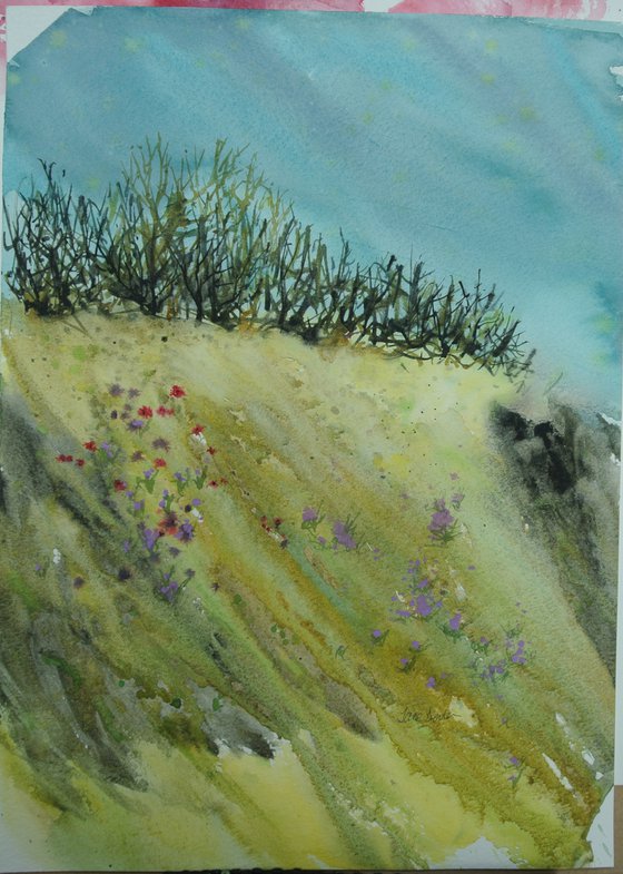 Cornish Hedgerow - Original Watercolour