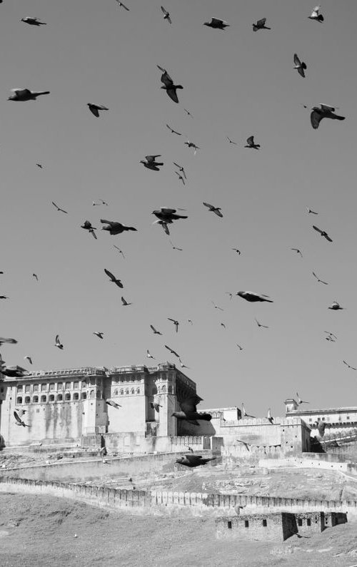 The Birds, Jaipur '13 - Signed Limited Edition by Serge Horta