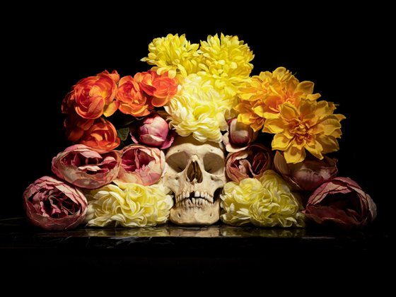 Vanitas / Memento More after the Dutch Masters. Still life photography.