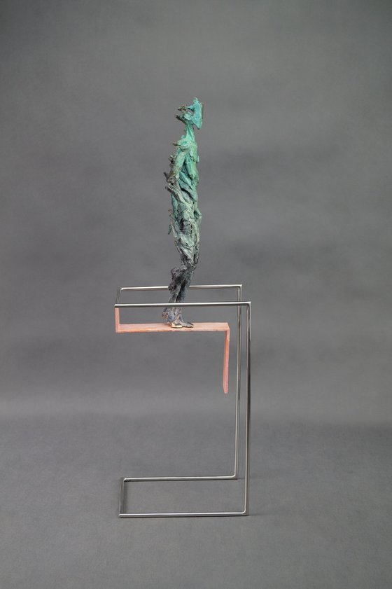 TIBIS V