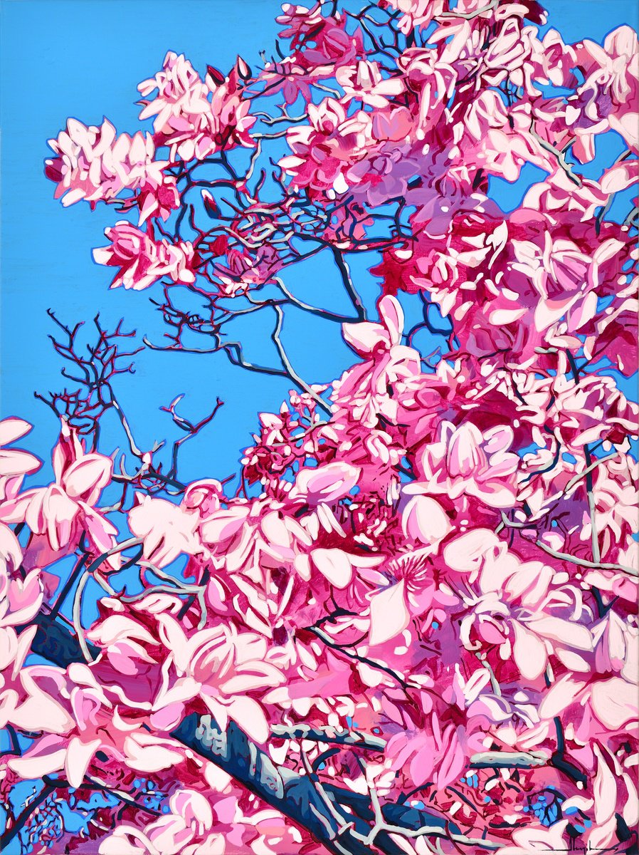  Pink Magnolia Blossom By Alex Nizovsky, 30 X 40, Artwork For Sale On Artfinder