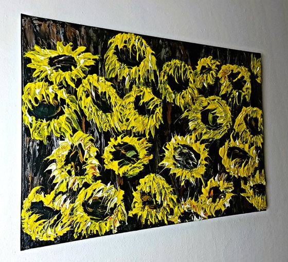 Sunflower field