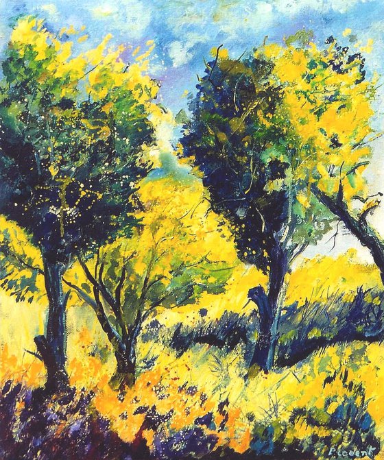 Orchard