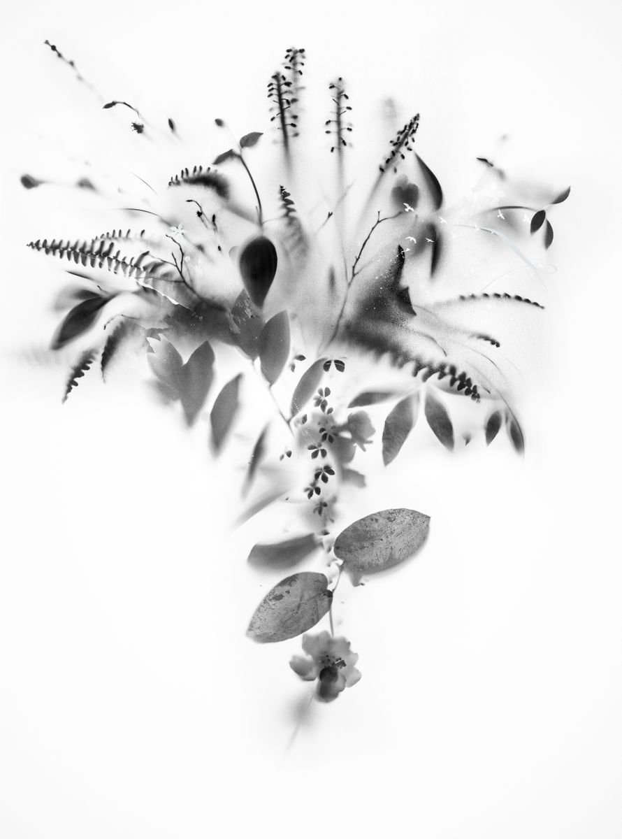 Botanical Painting By Teis Albers, 39 X 47", Natural Veil Iv, Original Artwork