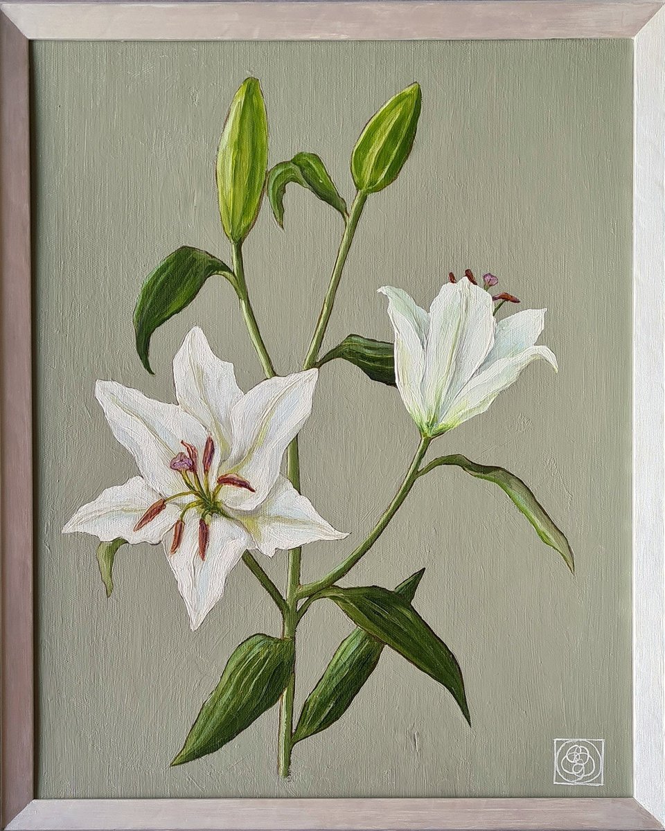 Oriental Lily Study 2 by Katia Bellini