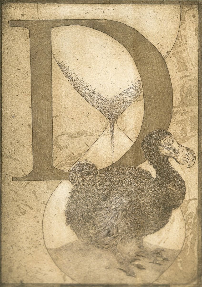 D is for Dodo by Jane Daniell