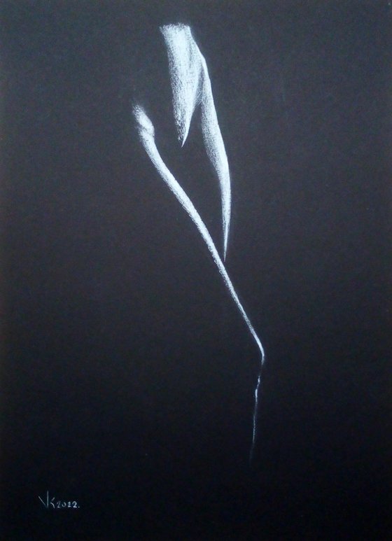 Nude noir #269 (21X29)cm