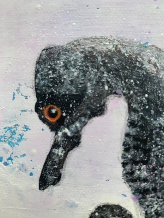 Two Seahorses