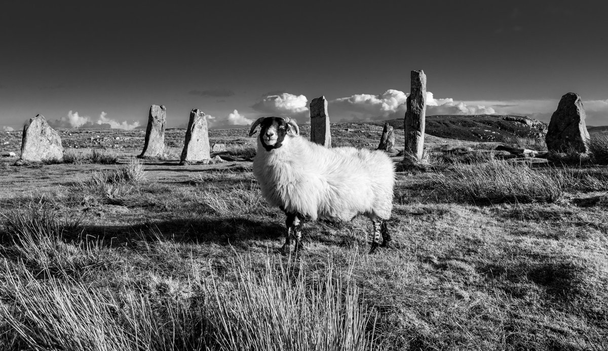 Garynahine Stone Circle - Callanish 3 - Isle of lewis by Stephen Hodgetts Photography