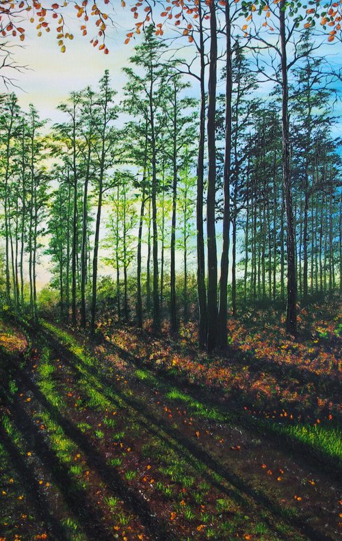 Shadows Before Dusk by Hazel Thomson