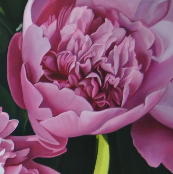 Peonies 2 , Original Oil on Canvas Art