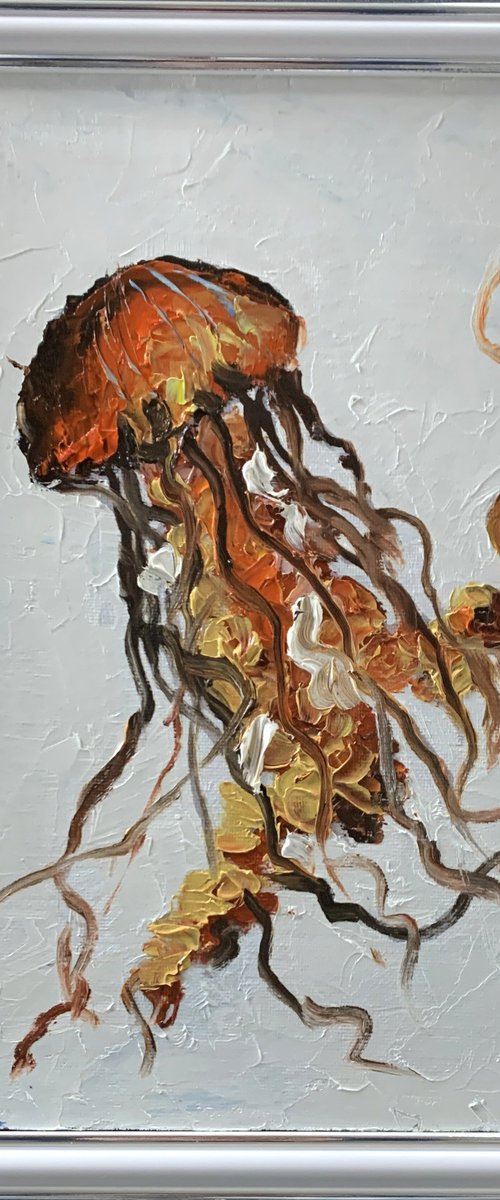 Jelly fish. by Vita Schagen