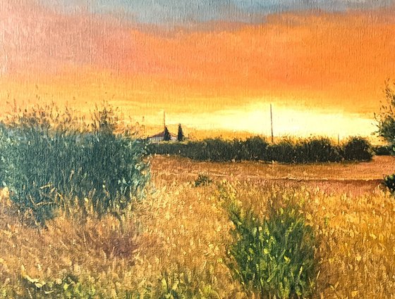 Sonata Nº 2 / Para paisaje