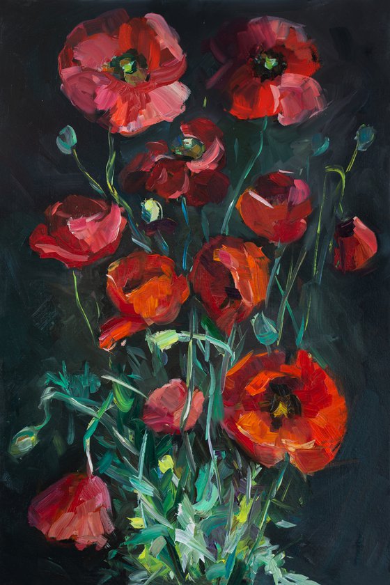 Red poppies