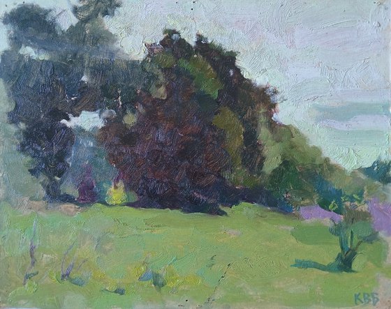 Summer Meadow