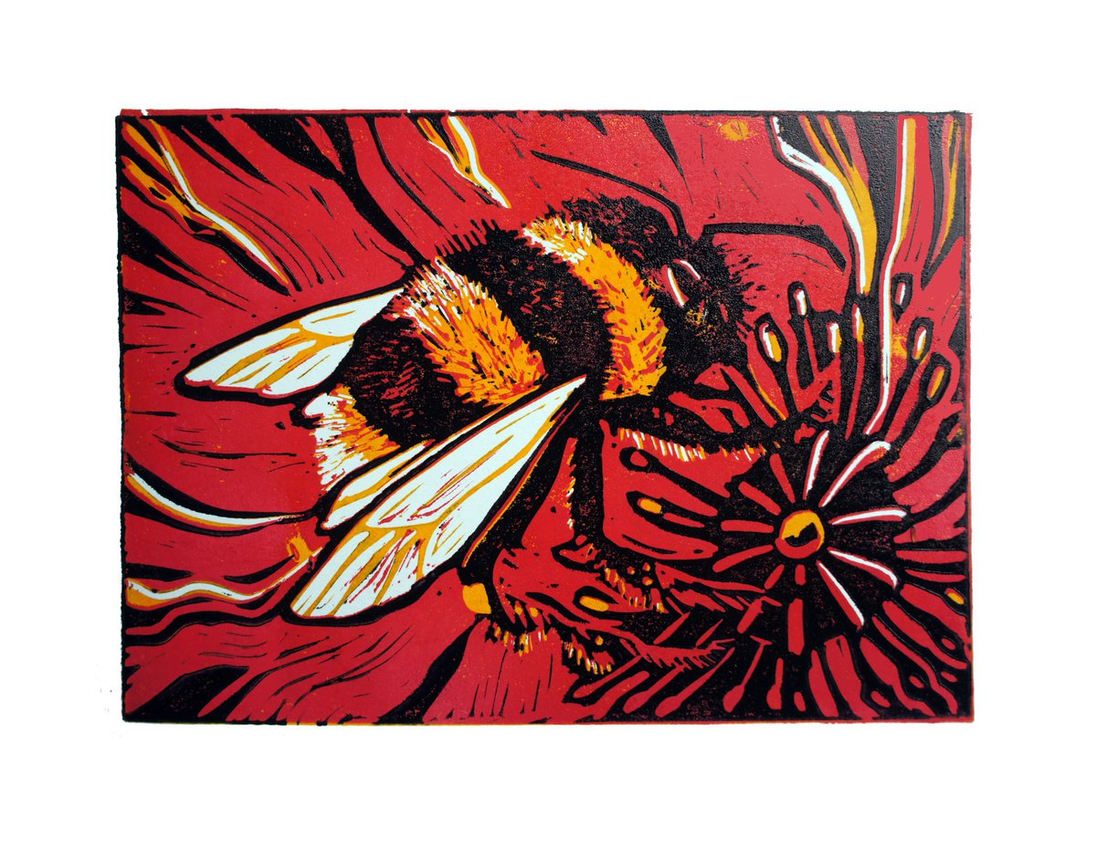 Bumble Bee on Poppy by Julia Rigby