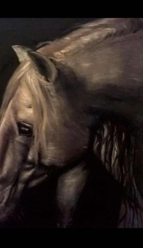 Horse by Viktória Déri