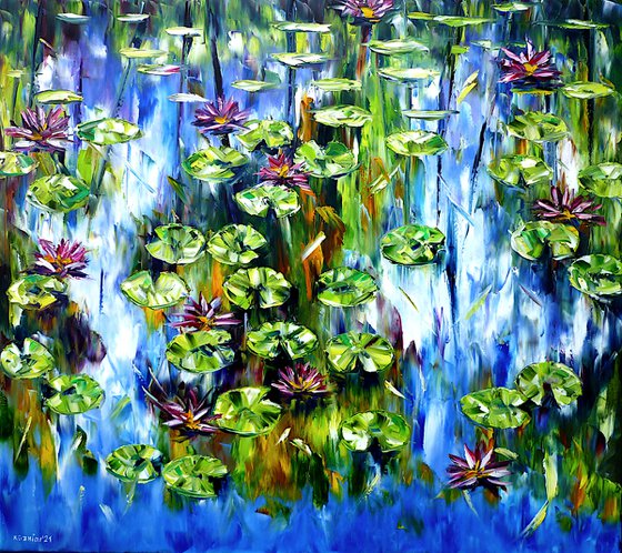 Water Lilies And Lotus Flowers