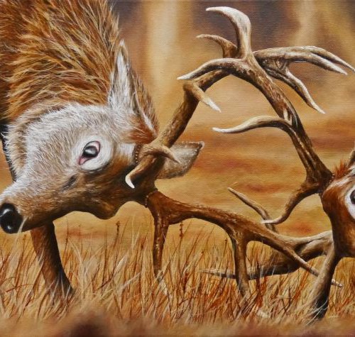 Place your bets by Tony Berriman