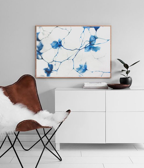 Fragile Blue Magnolia Cyanotype Style