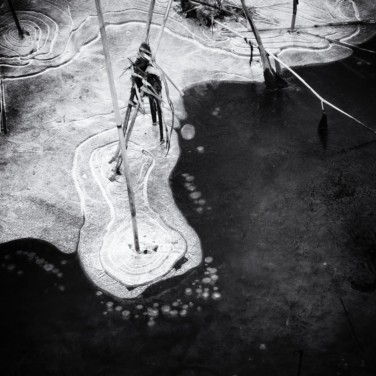 Geometric Landscape Photograph By Christian Schwarz, 17 X 17, Flow Graphics Viii, Original Artwork