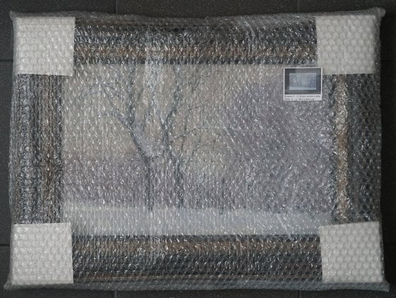 Maple Alley in January