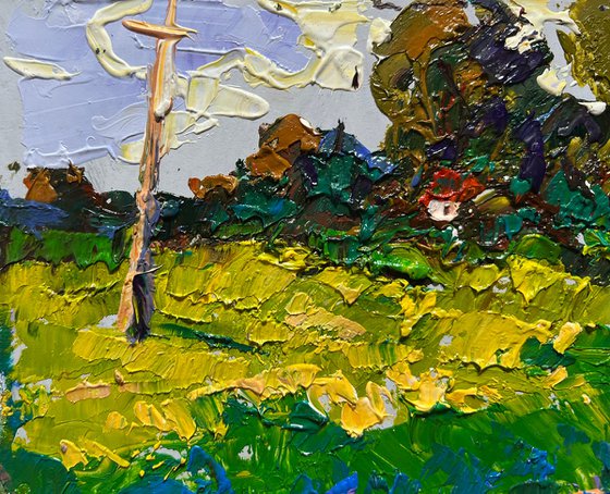 Yellow fields near the village