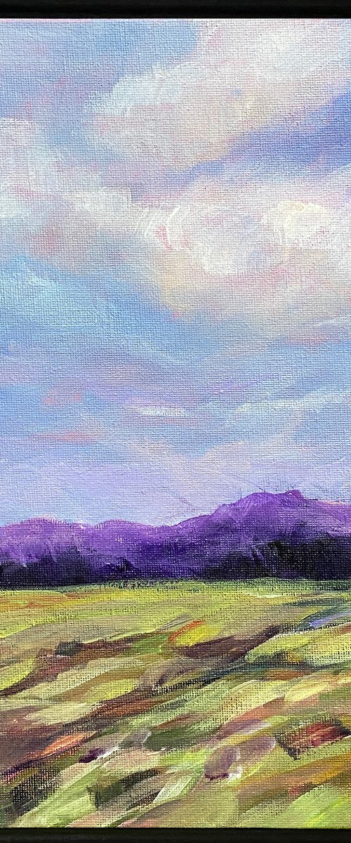 Purple Hills by Arti Chauhan