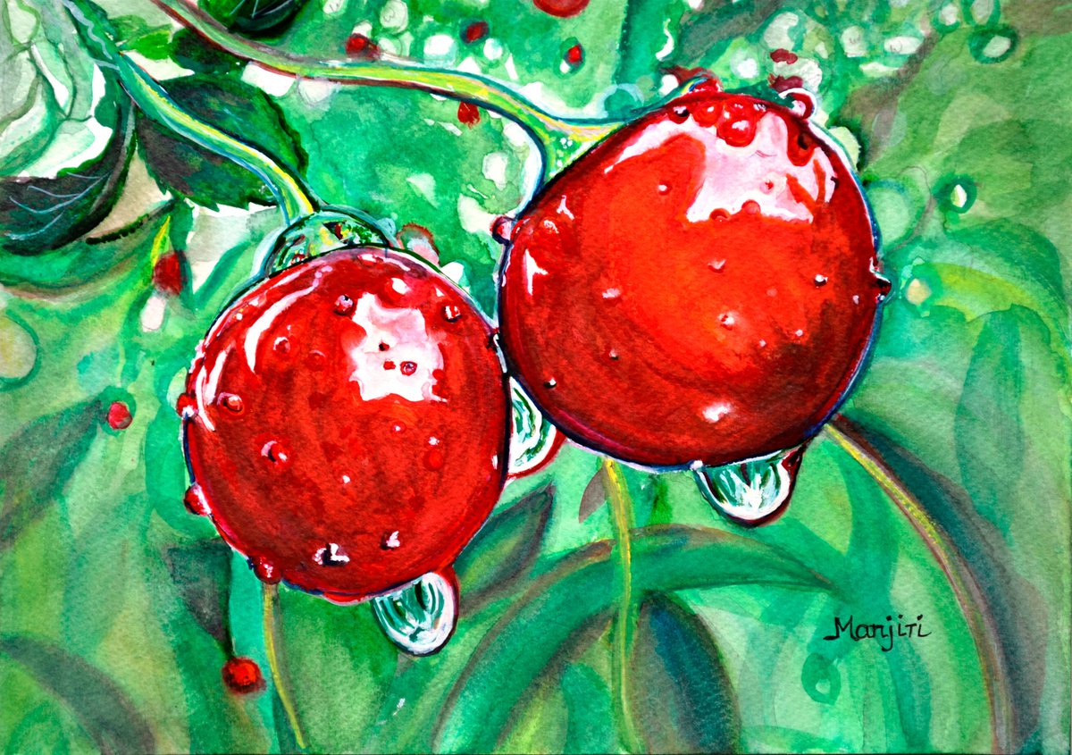 Red ripe Cherries in the Orchard watercolor painting on sale by Manjiri Kanvinde