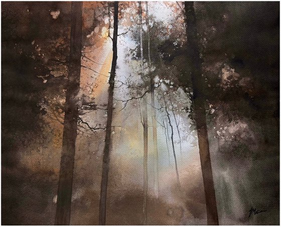 Misty Forest Light