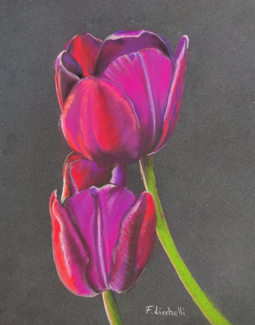 Tulips by Francesca Licchelli