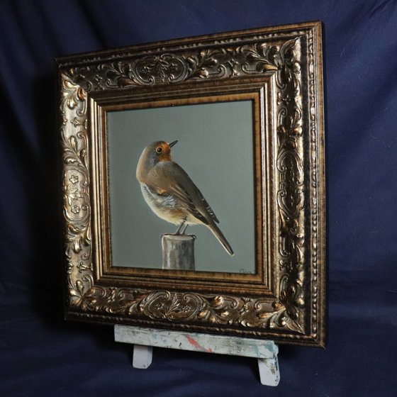 Lockdown's Morning Chorus Series - Red Robin, Bird Artwork, Animal Art Framed