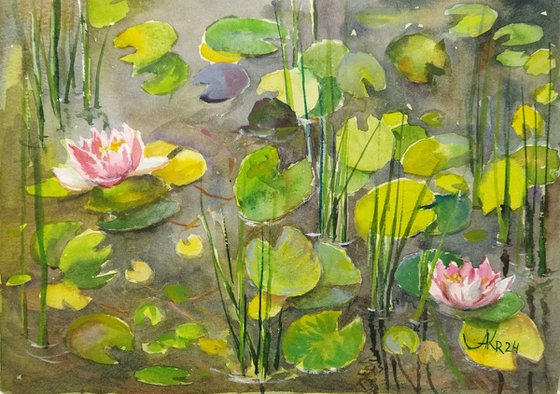 Pond with water Lilies