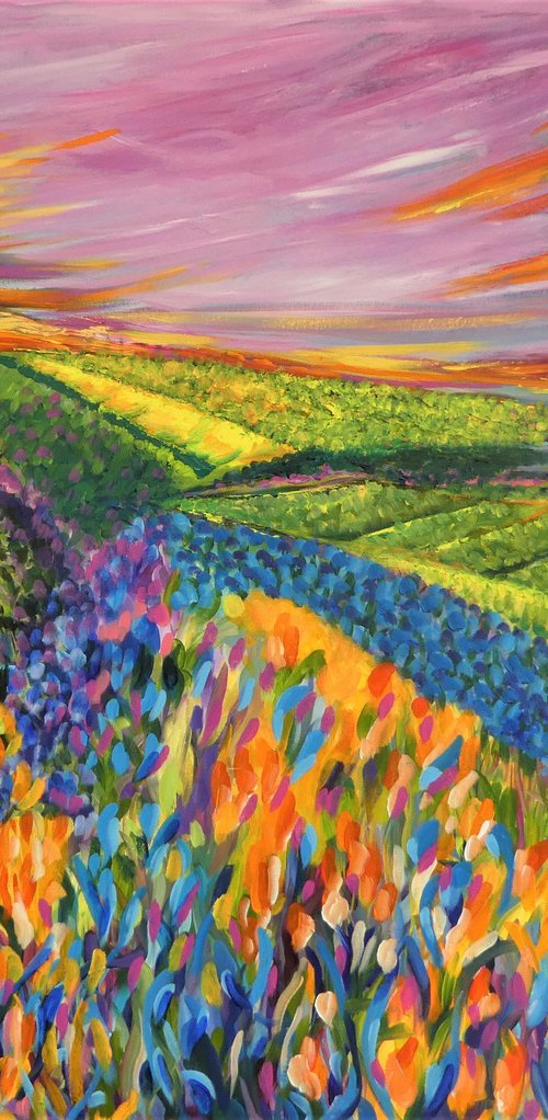 Lavender Fields 2023 by Lesley Blackburn