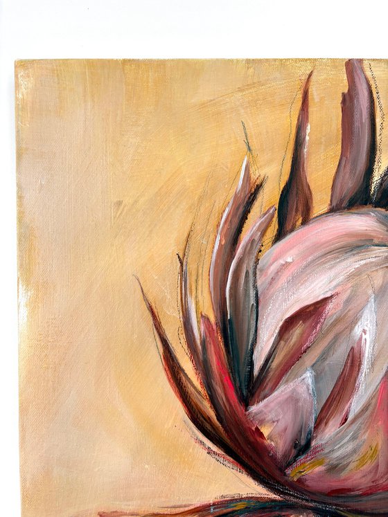 Proteas in Warm Light