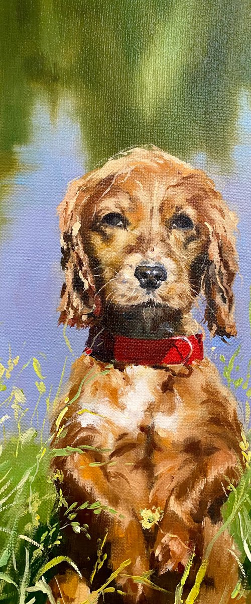 Man’s best friend by Elvira Sultanova