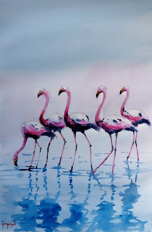 flamingos 4 by Giorgio Gosti