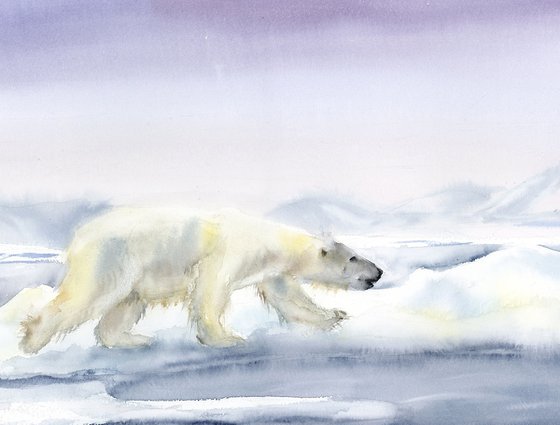 Polar Bear's Journey