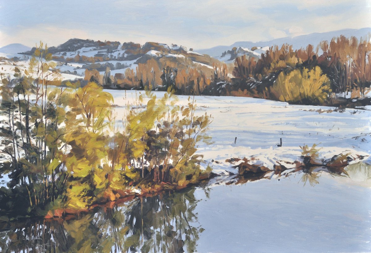 November 15, snow on the banks of the Loire river by ANNE BAUDEQUIN
