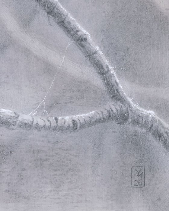 Spiderweb:Tulip Tree Gesture