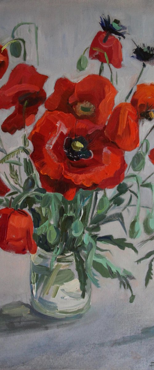 poppies by Alexandra L. ZELTSER