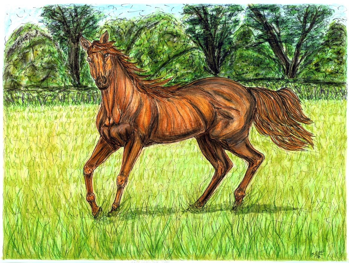 Impressionistic Animal Watercolour By Kim Jones Miller, 24 X 18", Freedom, Original Artwork