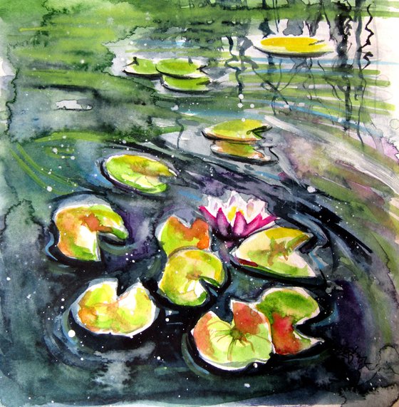 Water lilies collection II