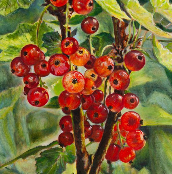Redcurrants