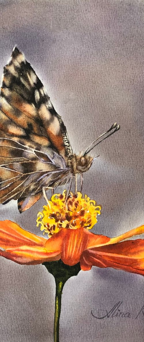 Butterfly on flower by Alina Karpova