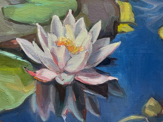 Water lilies at sunset 72.2 cm/50 cm (2022)