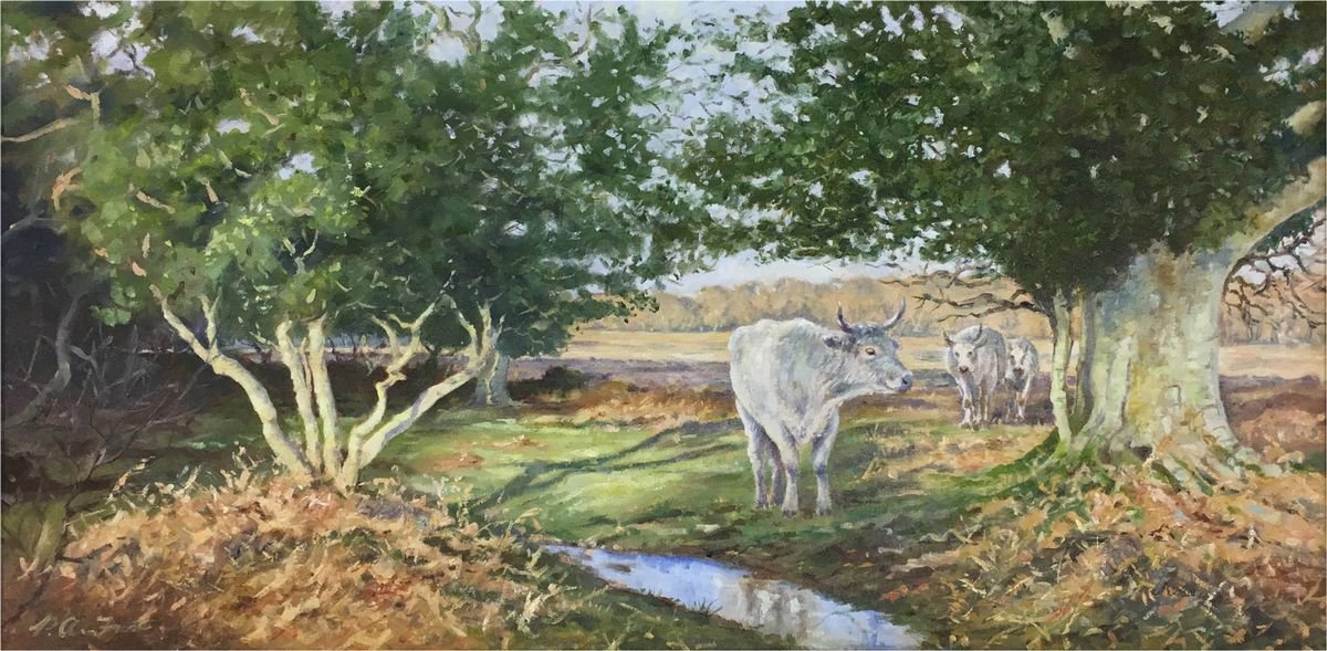 White Cattle by Peter Frost